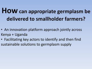 Overview of the Dairy Genetics East Africa (DGEA) project