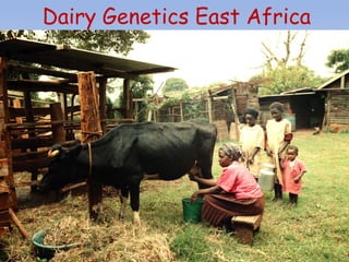 Overview of the Dairy Genetics East Africa (DGEA) project