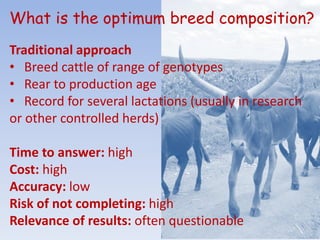 Overview of the Dairy Genetics East Africa (DGEA) project