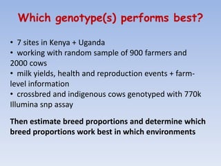 Overview of the Dairy Genetics East Africa (DGEA) project