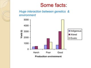Dairy Genetics East Africa Project Objectives and Sites
