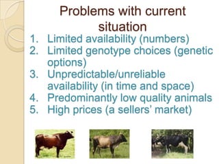 Partnership to deliver appropriate genetics