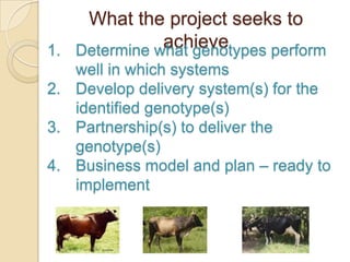 Partnership to deliver appropriate genetics