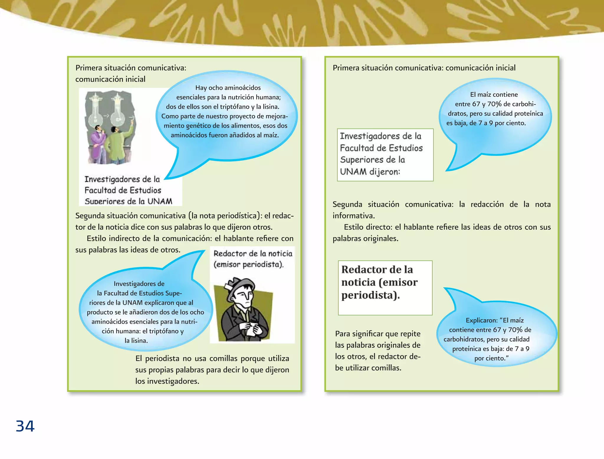 34
Primera situación comunicativa:
comunicación inicial
Segunda situación comunicativa (la nota periodística): el redac-
tor de la noticia dice con sus palabras lo que dijeron otros.
Estilo indirecto de la comunicación: el hablante reﬁere con
sus palabras las ideas de otros.
Hay ocho aminoácidos
esenciales para la nutrición humana;
dos de ellos son el triptófano y la lisina.
Como parte de nuestro proyecto de mejora-
miento genético de los alimentos, esos dos
aminoácidos fueron añadidos al maíz.
Investigadores de
la Facultad de Estudios Supe-
riores de la UNAM explicaron que al
producto se le añadieron dos de los ocho
aminoácidos esenciales para la nutri-
ción humana: el triptófano y
la lisina.
Primera situación comunicativa: comunicación inicial
Segunda situación comunicativa: la redacción de la nota
informativa.
Estilo directo: el hablante reﬁere las ideas de otros con sus
palabras originales.
El maíz contiene
entre 67 y 70% de carbohi-
dratos, pero su calidad proteínica
es baja, de 7 a 9 por ciento.
Explicaron: “El maíz
contiene entre 67 y 70% de
carbohidratos, pero su calidad
proteínica es baja: de 7 a 9
por ciento.”
Para signiﬁcar que repite
las palabras originales de
los otros, el redactor de-
be utilizar comillas.
El periodista no usa comillas porque utiliza
sus propias palabras para decir lo que dijeron
los investigadores.
 