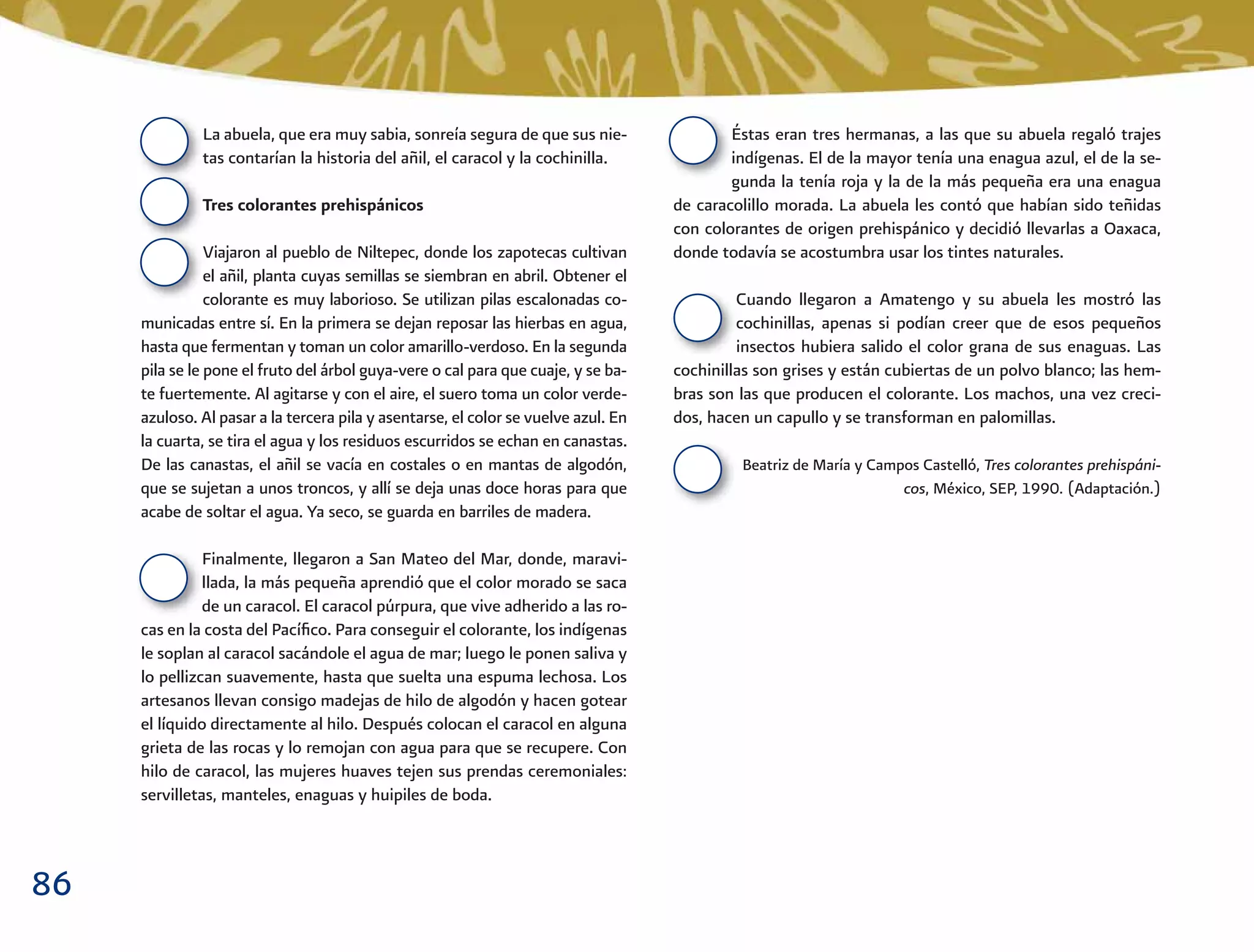 86
Éstas eran tres hermanas, a las que su abuela regaló trajes
indígenas. El de la mayor tenía una enagua azul, el de la se-
gunda la tenía roja y la de la más pequeña era una enagua
de caracolillo morada. La abuela les contó que habían sido teñidas
con colorantes de origen prehispánico y decidió llevarlas a Oaxaca,
donde todavía se acostumbra usar los tintes naturales.
Cuando llegaron a Amatengo y su abuela les mostró las
cochinillas, apenas si podían creer que de esos pequeños
insectos hubiera salido el color grana de sus enaguas. Las
cochinillas son grises y están cubiertas de un polvo blanco; las hem-
bras son las que producen el colorante. Los machos, una vez creci-
dos, hacen un capullo y se transforman en palomillas.
Beatriz de María y Campos Castelló, Tres colorantes prehispáni-
cos, México, SEP, 1990. (Adaptación.)
La abuela, que era muy sabia, sonreía segura de que sus nie-
tas contarían la historia del añil, el caracol y la cochinilla.
Tres colorantes prehispánicos
Viajaron al pueblo de Niltepec, donde los zapotecas cultivan
el añil, planta cuyas semillas se siembran en abril. Obtener el
colorante es muy laborioso. Se utilizan pilas escalonadas co-
municadas entre sí. En la primera se dejan reposar las hierbas en agua,
hasta que fermentan y toman un color amarillo-verdoso. En la segunda
pila se le pone el fruto del árbol guya-vere o cal para que cuaje, y se ba-
te fuertemente. Al agitarse y con el aire, el suero toma un color verde-
azuloso. Al pasar a la tercera pila y asentarse, el color se vuelve azul. En
la cuarta, se tira el agua y los residuos escurridos se echan en canastas.
De las canastas, el añil se vacía en costales o en mantas de algodón,
que se sujetan a unos troncos, y allí se deja unas doce horas para que
acabe de soltar el agua. Ya seco, se guarda en barriles de madera.
Finalmente, llegaron a San Mateo del Mar, donde, maravi-
llada, la más pequeña aprendió que el color morado se saca
de un caracol. El caracol púrpura, que vive adherido a las ro-
cas en la costa del Pacíﬁco. Para conseguir el colorante, los indígenas
le soplan al caracol sacándole el agua de mar; luego le ponen saliva y
lo pellizcan suavemente, hasta que suelta una espuma lechosa. Los
artesanos llevan consigo madejas de hilo de algodón y hacen gotear
el líquido directamente al hilo. Después colocan el caracol en alguna
grieta de las rocas y lo remojan con agua para que se recupere. Con
hilo de caracol, las mujeres huaves tejen sus prendas ceremoniales:
servilletas, manteles, enaguas y huipiles de boda.
 