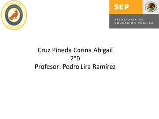 Cruz Pineda Corina Abigail
            2°D
Profesor: Pedro Lira Ramírez
 