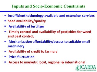 Inputs and Socio-Economic Constraints 
 Insufficient technology available and extension services 
 Seed availability/quality 
 Availability of fertilizer 
 Timely control and availability of pesticides for weed 
and pest control; 
 Mechanization affordability/access to suitable small 
machinery 
 Availability of credit to farmers 
 Price fluctuation 
 Access to markets: local, regional & international 
11 
 