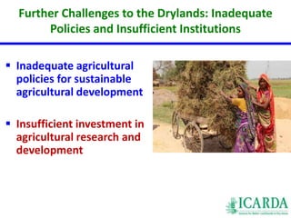 Further Challenges to the Drylands: Inadequate 
Policies and Insufficient Institutions 
 Inadequate agricultural 
policies for sustainable 
agricultural development 
 Insufficient investment in 
agricultural research and 
development 
 