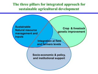 The three pillars for integrated approach for 
sustainable agricultural development 
Sustainable 
Natural resource 
management and 
inputs 
Crop & livestock 
genetic improvement 
Integration at field 
and farmers levels 
Socio-economic & policy, 
and institutional support 
 