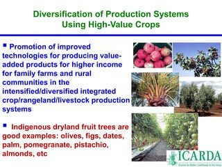 Diversification of Production Systems 
Using High-Value Crops 
 
Promotion of improved 
technologies for producing value-added 
products for higher income 
for family farms and rural 
communities in the 
intensified/diversified integrated 
crop/rangeland/livestock production 
systems 
 
Indigenous dryland fruit trees are 
good examples: olives, figs, dates, 
palm, pomegranate, pistachio, 
almonds, etc. 
 