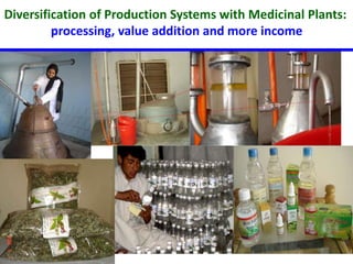 Diversification of Production Systems with Medicinal Plants: 
processing, value addition and more income 
 