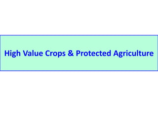 High Value Crops & Protected Agriculture 
 