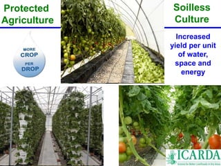 Soilless 
Culture 
Increased 
yield per unit 
of water, 
space and 
energy 
Protected 
Agriculture 
 
