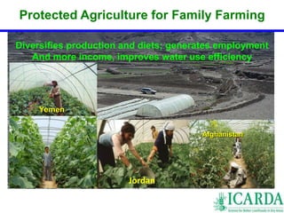 Protected Agriculture for Family Farming 
Diversifies production and diets; generates employment 
And more income, improves water use efficiency 
Afghanistan 
Yemen 
Jordan 
 