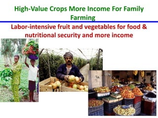 High-Value Crops More Income For Family 
Farming 
Labor-intensive fruit and vegetables for food & 
nutritional security and more income 
• A low-risk bridge from subsistence to 
better livelihoods 
 