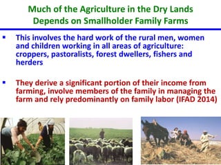 Much of the Agriculture in the Dry Lands 
Depends on Smallholder Family Farms 
 This involves the hard work of the rural men, women 
and children working in all areas of agriculture: 
croppers, pastoralists, forest dwellers, fishers and 
herders 
 They derive a significant portion of their income from 
farming, involve members of the family in managing the 
farm and rely predominantly on family labor (IFAD 2014) 
 