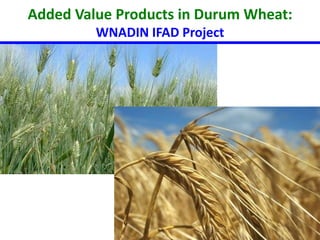 Added Value Products in Durum Wheat: 
WNADIN IFAD Project 
 