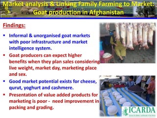 Market analysis & Linking Family Farming to Market: 
Goat production in Afghanistan 
Findings: 
 Informal & unorganised goat markets 
with poor infrastructure and market 
intelligence system. 
 Goat producers can expect higher 
benefits when they plan sales considering 
live weight, market day, marketing place 
and sex. 
 Good market potential exists for cheese, 
qurut, yoghurt and cashmere. 
 Presentation of value added products for 
marketing is poor - need improvement in 
packing and grading. 
 