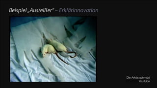 Beispiel „Ausreißer“ – Erklärinnovation

Die Arktis schmilzt
YouTube

 