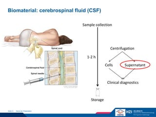 Biomaterial: cerebrospinal fluid (CSF)
Name der PräsentationSeite 8 |
1-2 h
Storage
Sample collection
Centrifugation
Clini...