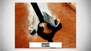 BRANDR
TO BURN
 