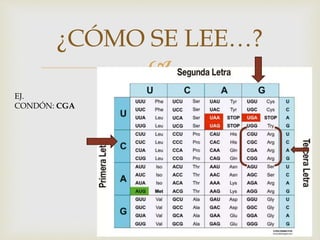 
¿CÓMO SE LEE…?
EJ.
CONDÓN: CGA
 