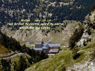 Aleluya Salmo 118: 135
Haz brillar tu rostro sobre tu siervo,
enséñame tus Leyes.
 