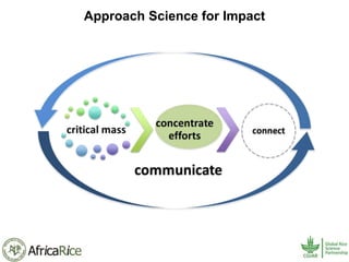 History and Current Organizational Structure of AfricaRice