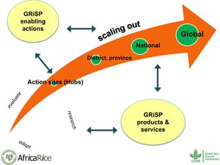 History and Current Organizational Structure of AfricaRice