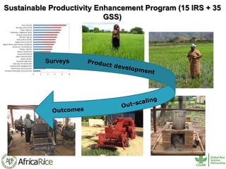 History and Current Organizational Structure of AfricaRice