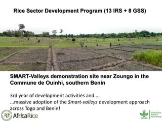 History and Current Organizational Structure of AfricaRice