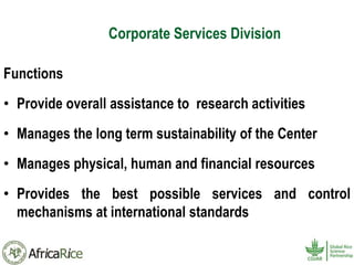 History and Current Organizational Structure of AfricaRice