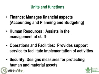 History and Current Organizational Structure of AfricaRice