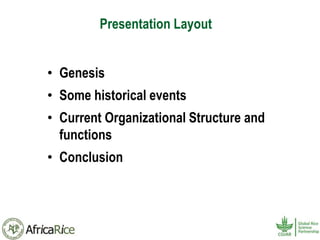 History and Current Organizational Structure of AfricaRice