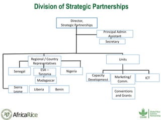History and Current Organizational Structure of AfricaRice