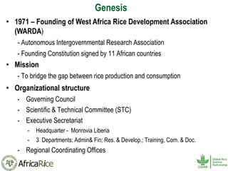History and Current Organizational Structure of AfricaRice