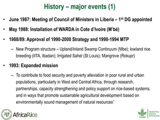 History and Current Organizational Structure of AfricaRice