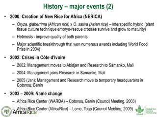 History and Current Organizational Structure of AfricaRice