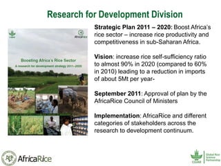 History and Current Organizational Structure of AfricaRice