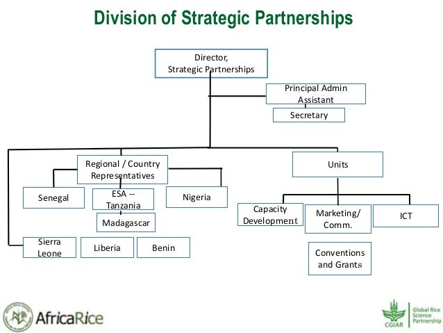 Stc Organizational Chart