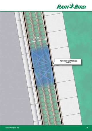 XERI-POP COM BICOS
                         XPCN




www.rainbird.eu                        19
 