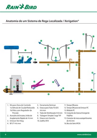 Anatomia de um Sistema de Rega Localizada / Xerigation®



                                                                                                                             18
                                                                                                                                            7


                                                       3                                                  3



       Fonte de
 Water Source
abastecimento de água                                       6
                                                                              7       7
                                                                                                      6                                     15
                                   1                                                                          10



                        1a             1b                                         4
                                               2


                                                                     8                                        25



                                                                                                  9
                                                                                                                    31                 29


                                                                                                                                  16

                                                                                                                                       16
                                            24                                                                                          7
                                              22                          5
                             22
                              20
              21
    26        19
                                                                                          3                              2
                                                                                                                                   15

                                                                23                                            29
                                                                     21                                             25




     1. Kit para Zona de Controlo                  5. Ferramenta Xeriman                      11. Tampa Difusora
        1a.Válvula de Caudal Reduzido              6. Estaca para Tubo TS-025                 12. Tampa Difusora do Emissor PC
        1b.Filtro com Regulador de                     4-6 mm                                 13. Módulo PC
            Pressão                                7. Tubo de Distribuição 4-6 mm             14. Conjunto da Coluna Emergente
     2. Acessório de Encaixe, União de             8. Tubagem Simples “cega” XF                   PolyFlex
        Acoplamento Rápido de 16 mm                9. Estaca com Gancho                       15. Conector de rosca autoperfurantes
     3. Emissor Xeri-Bug                           10. Joelho XFD                                 de 4-6 mm
     4. BF3 T 4-6 mm                                                                          16. Bico da Série XPCN




4                                                                                                                  www.rainbird.eu
 