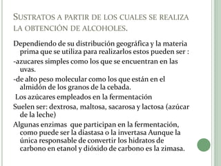 SUSTRATOS A PARTIR DE LOS CUALES SE REALIZA
LA OBTENCIÓN DE ALCOHOLES.
Dependiendo de su distribución geográfica y la materia
prima que se utiliza para realizarlos estos pueden ser :
-azucares simples como los que se encuentran en las
uvas.
-de alto peso molecular como los que están en el
almidón de los granos de la cebada.
Los azúcares empleados en la fermentación
Suelen ser: dextrosa, maltosa, sacarosa y lactosa (azúcar
de la leche)
Algunas enzimas que participan en la fermentación,
como puede ser la diastasa o la invertasa Aunque la
única responsable de convertir los hidratos de
carbono en etanol y dióxido de carbono es la zimasa.
 