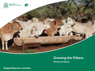 Growing the Pilbara
Mining and dining
Supporting your success
 