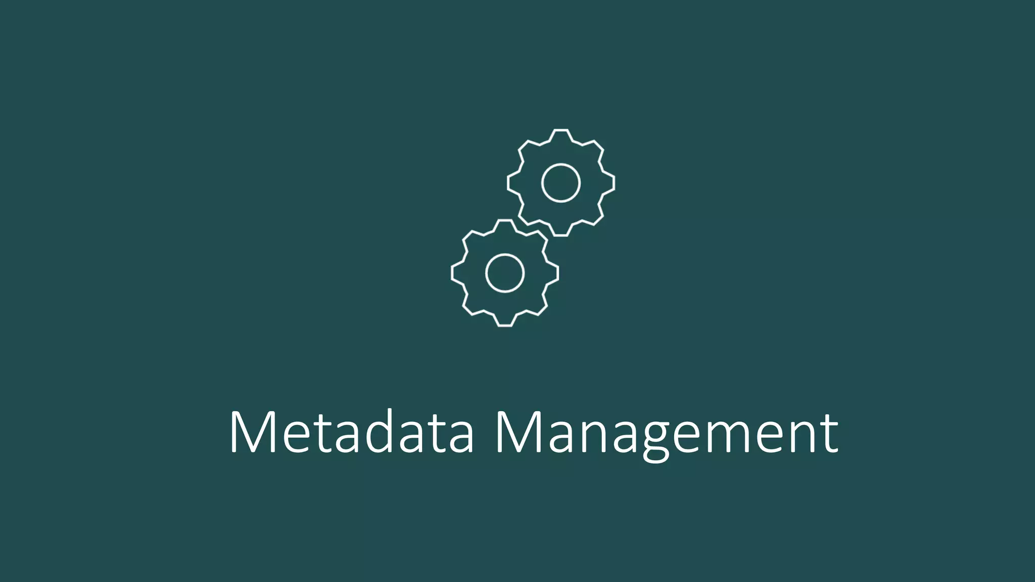Metadata Management
 