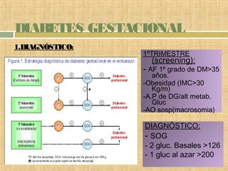DIABETES GESTACIONAL
1ºTRIMESTRE
(screening):
- AF 1º grado de DM>35
años.
-Obesidad (IMC>30
Kg/m)
-A.P de DG/alt metab.
Gluc
-AO sosp(macrosomia)
1.DIAGNÓSTICO:
DIAGNÓSTICO:
- SOG
- 2 gluc. Basales >126
- 1 gluc al azar >200
 