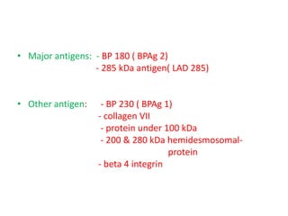 • Major antigens: - BP 180 ( BPAg 2)
- 285 kDa antigen( LAD 285)
• Other antigen: - BP 230 ( BPAg 1)
- collagen VII
- protein under 100 kDa
- 200 & 280 kDa hemidesmosomal-
protein
- beta 4 integrin
 