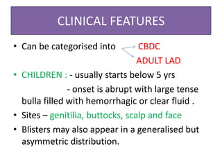 CLINICAL FEATURES
• Can be categorised into CBDC
ADULT LAD
• CHILDREN : - usually starts below 5 yrs
- onset is abrupt with large tense
bulla filled with hemorrhagic or clear fluid .
• Sites – genitilia, buttocks, scalp and face
• Blisters may also appear in a generalised but
asymmetric distribution.
 