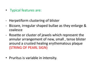 • Typical features are:
- Herpetiform clustering of blister
- Bizzare, irregular shaped bullae as they enlarge &
coalesce
- Rosette or cluster of jewels which represent the
annular arrangement of new, small , tense blister
around a crusted healing erythematous plaque
(STRING OF PEARL SIGN)
• Pruritus is variable in intensity.
 