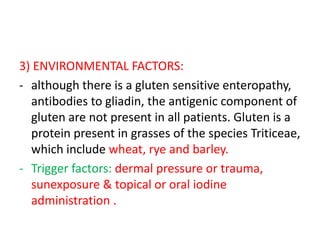 3) ENVIRONMENTAL FACTORS:
- although there is a gluten sensitive enteropathy,
antibodies to gliadin, the antigenic component of
gluten are not present in all patients. Gluten is a
protein present in grasses of the species Triticeae,
which include wheat, rye and barley.
- Trigger factors: dermal pressure or trauma,
sunexposure & topical or oral iodine
administration .
 